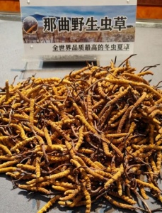 &#21916;&#21033;&#24471;&#40;&#20013;&#22269;&#41;